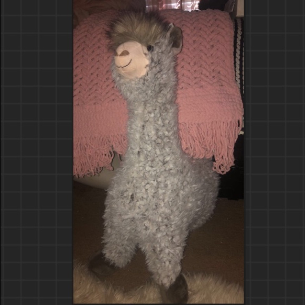 Stuffed animal